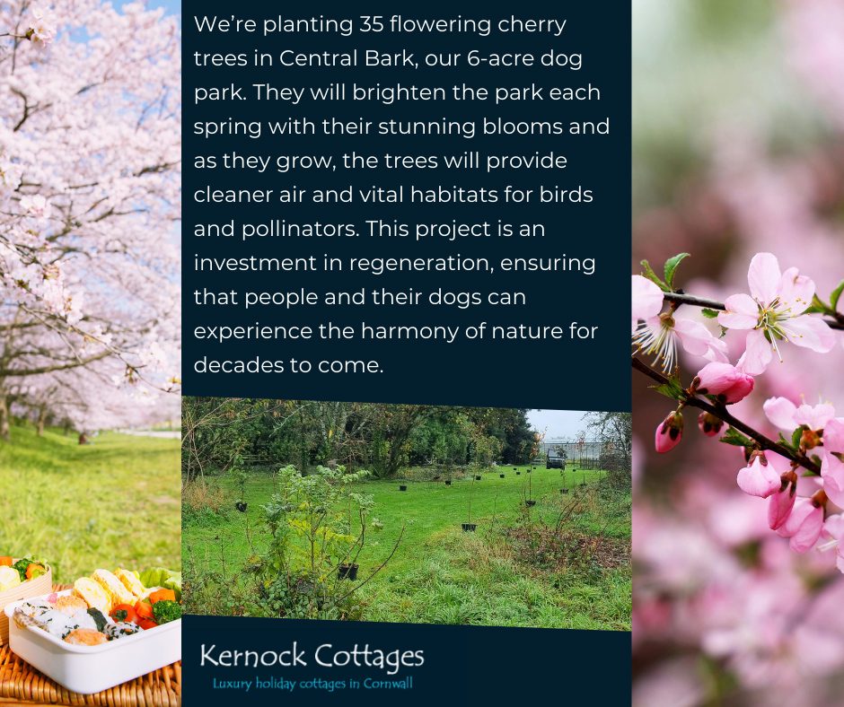 Spring blossom